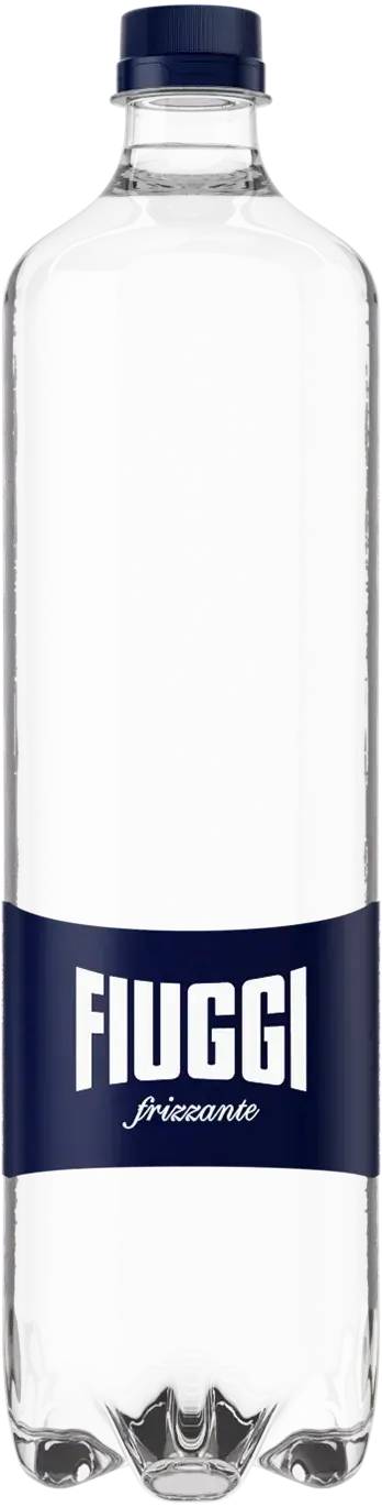 Acqua Fiuggi Everyday sparkling water, 1L bottle, blue cap