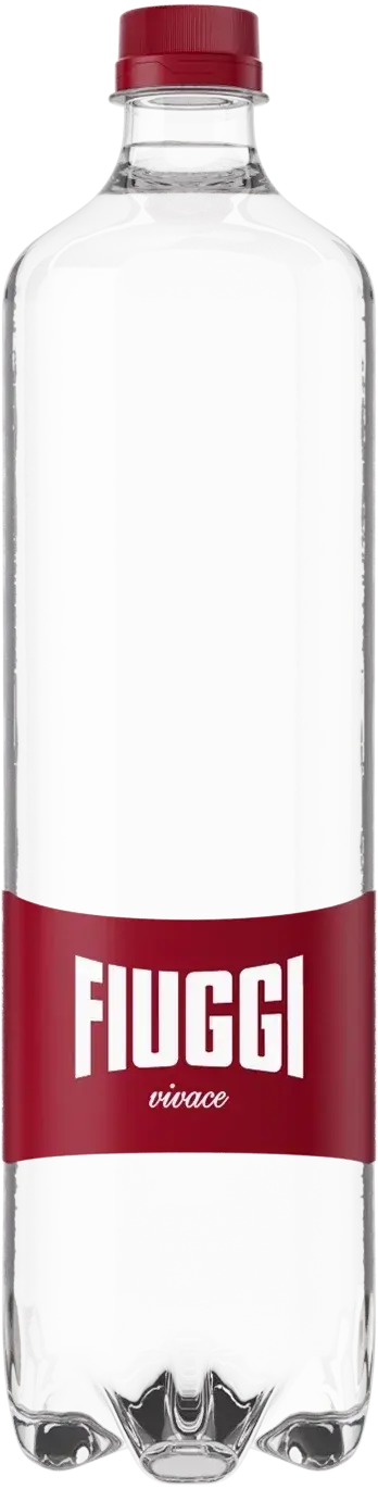 Acqua Fiuggi Everyday lightly sparkling water (vivace), 1L bottle, red cap