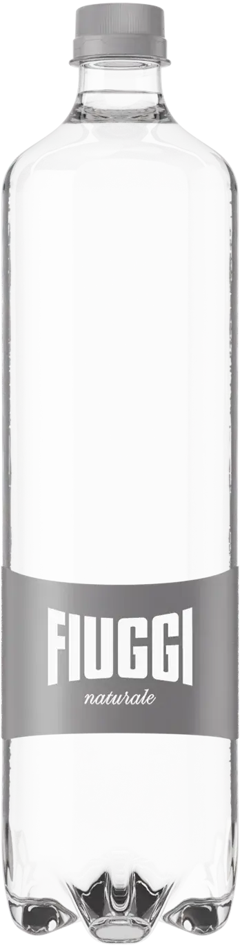 Acqua Fiuggi Everyday still water, 1L bottle, grey cap